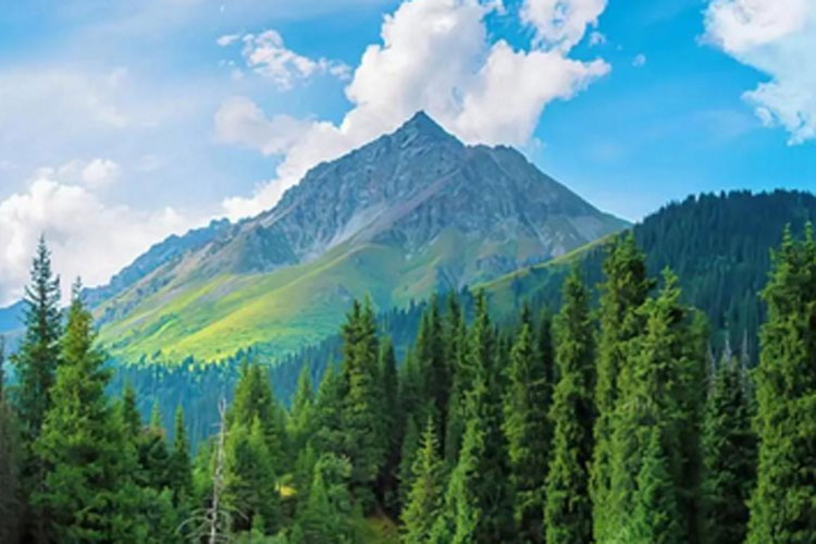 2026 年塑料軟包裝行業的核心